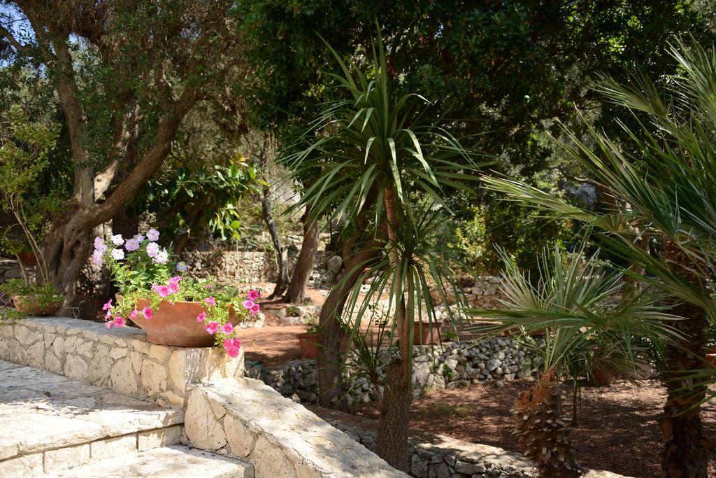 L'Antico Ulivo Vila Santa Cesarea Terme Exterior foto